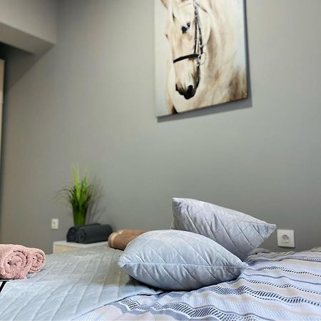 Nj Luxury Rooms And Suites Варна Экстерьер фото